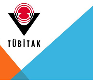 2515 COST Destek Programı