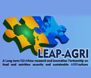 AFRİKA-AVRUPA BİRLİĞİ ORTAK Çağrısı