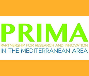 PRIMA 2019 Çağrısı