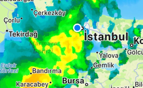 YTÜ'nün 114. Yıl Dönümünde 114 Fidan Dikimi 