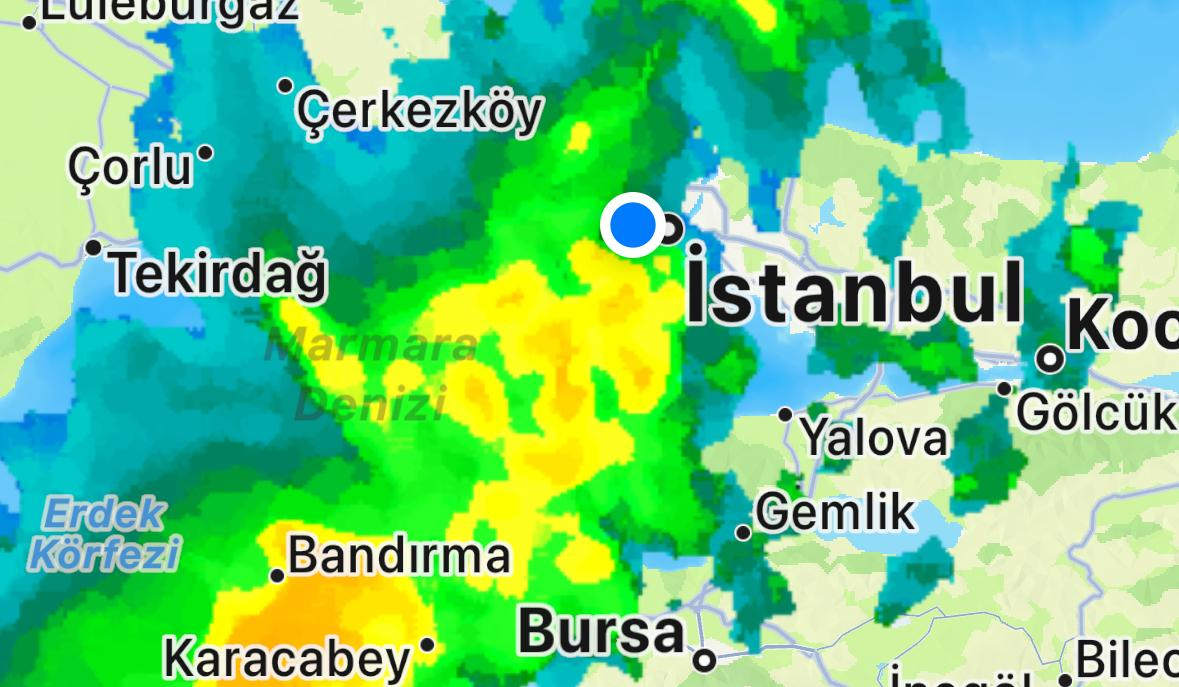 YTÜ'nün 114. Yıl Dönümünde 114 Fidan Dikimi 