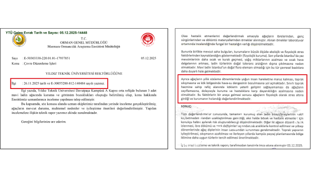 Mavi Ladin YTÜ OGM Raporu